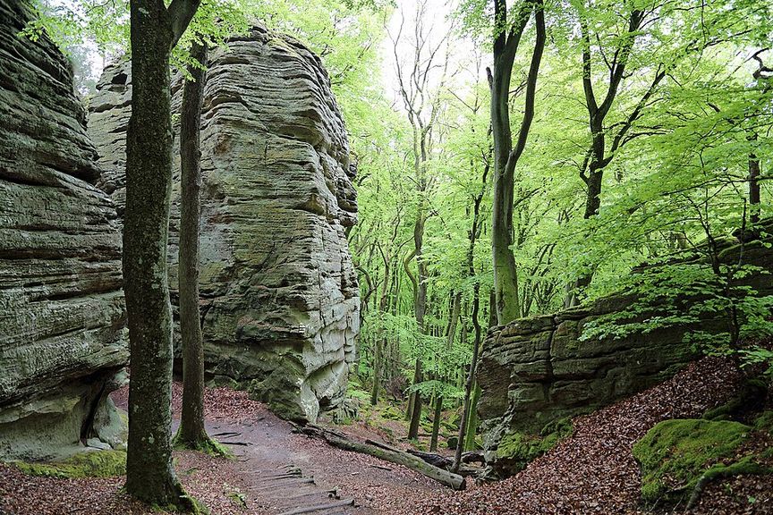 Zandstenen rotsen en een houten pad door groen beukenbos op de Mullerthal-trail