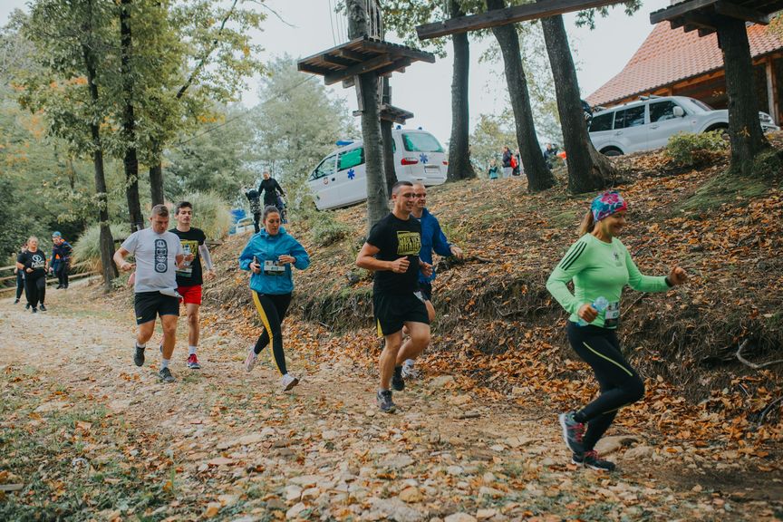 Groep recreatieve hardlopers met startnummers op een bladbedekt bospad tijdens een trailwedstrijd in de herfst.